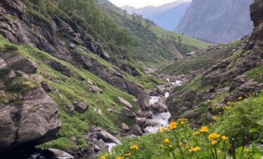 The Valley of Flowers: A Journey into Nature’s Hidden Paradise