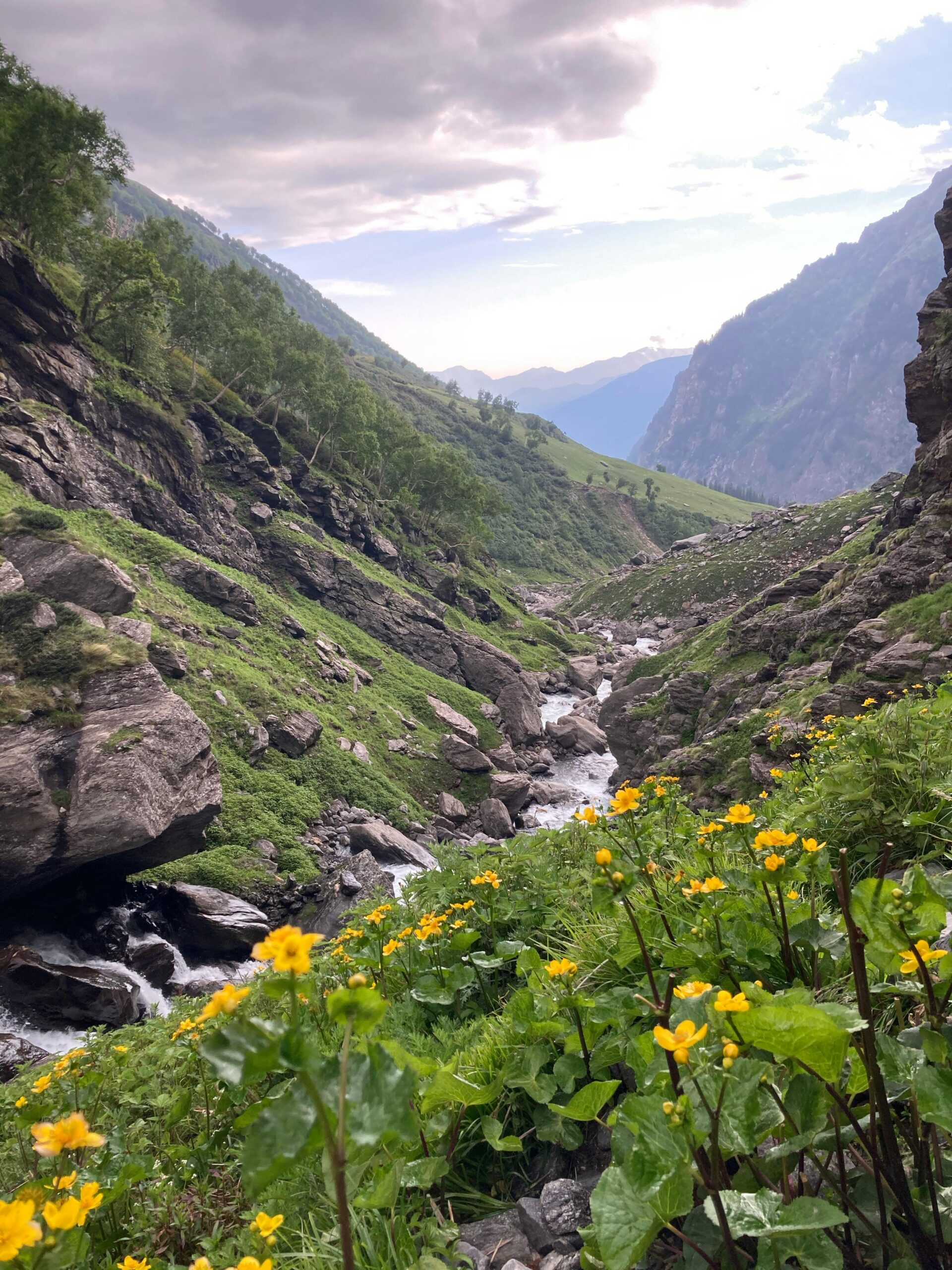 The Valley of Flowers: A Journey into Nature’s Hidden Paradise